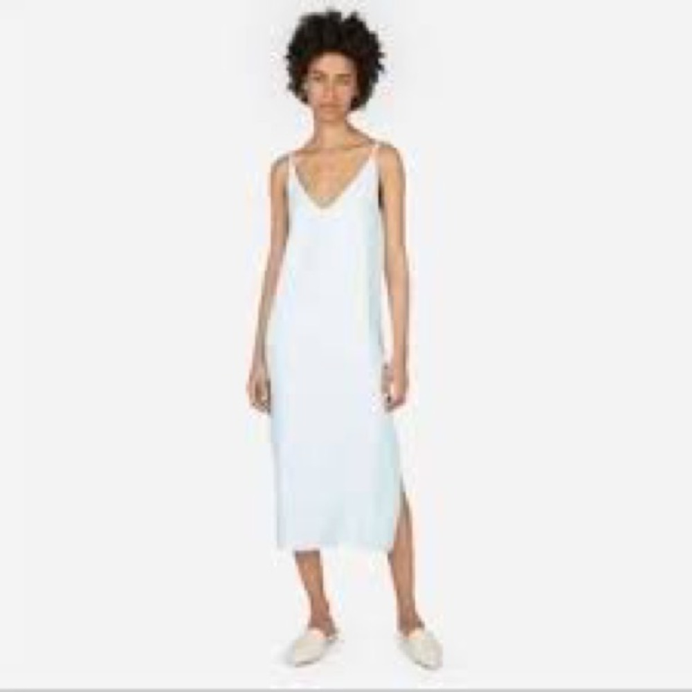 Everlane Japanese Goweave Slip Dress - Blue